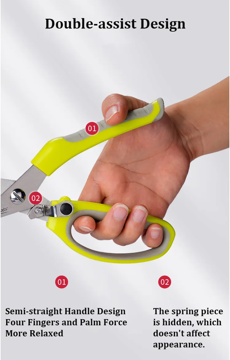 Kitchen Shears 2