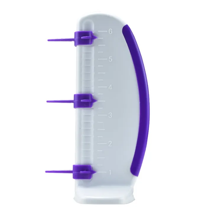 Cake Ruler Detail 4