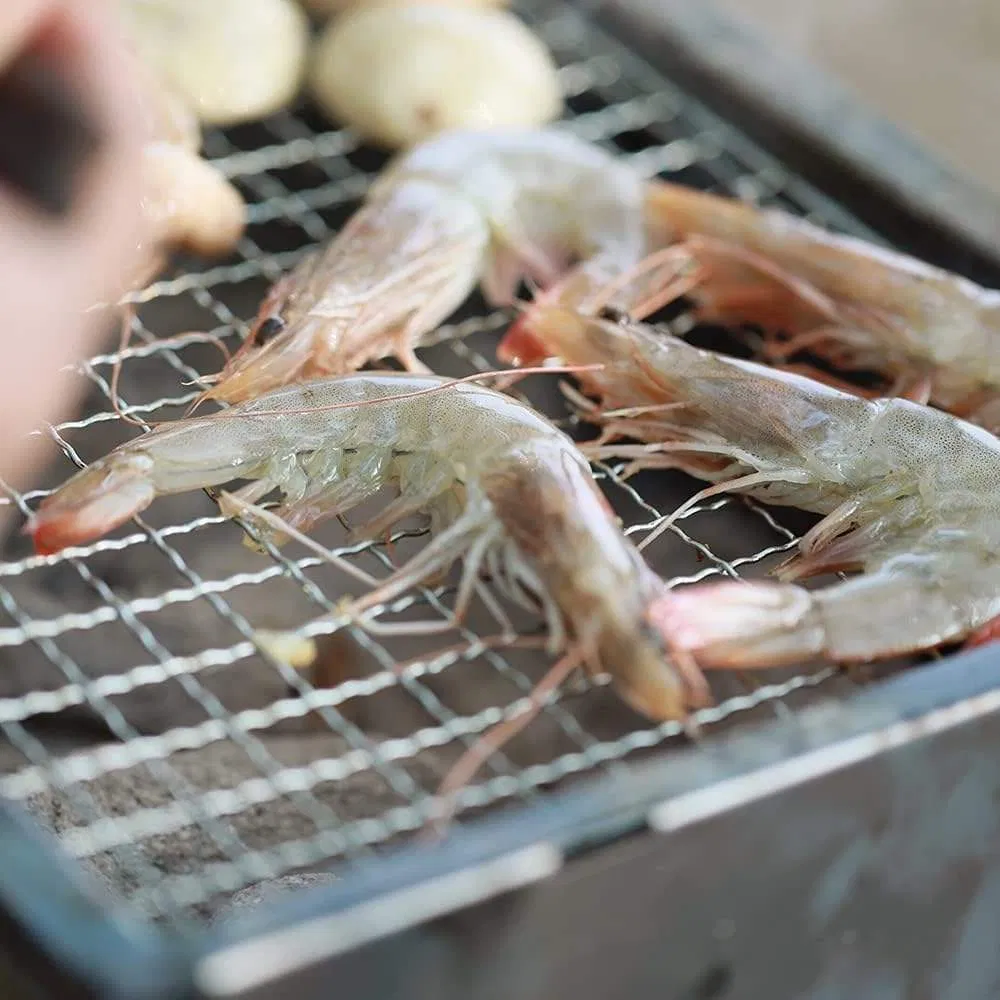 Outdoor BBQ Grill Accessories Baking Mesh Mats Stainless Steel Roasting Wire