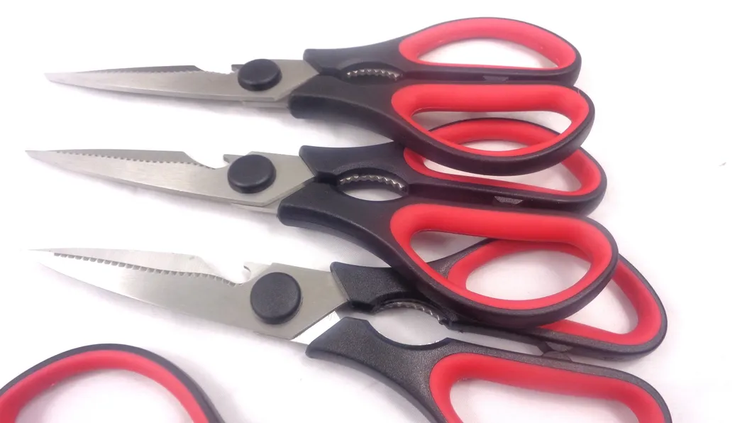 Kitchen Shears 2