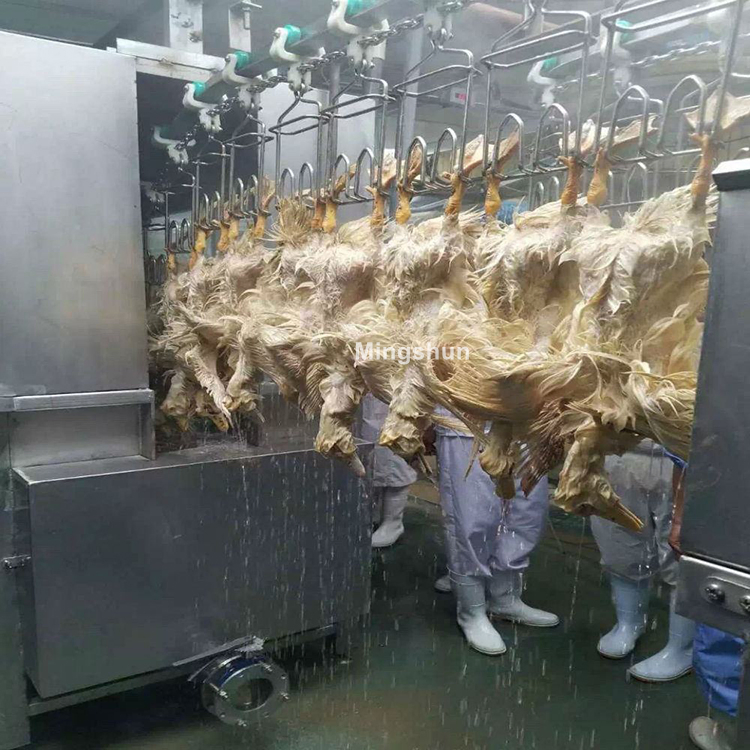 Premium 304 Stainless Steel Poultry Processing Tools for Efficiency