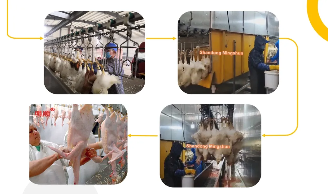 Poultry Processing Tools 7
