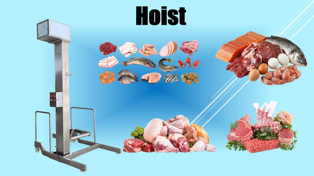 Industrial Conveyor