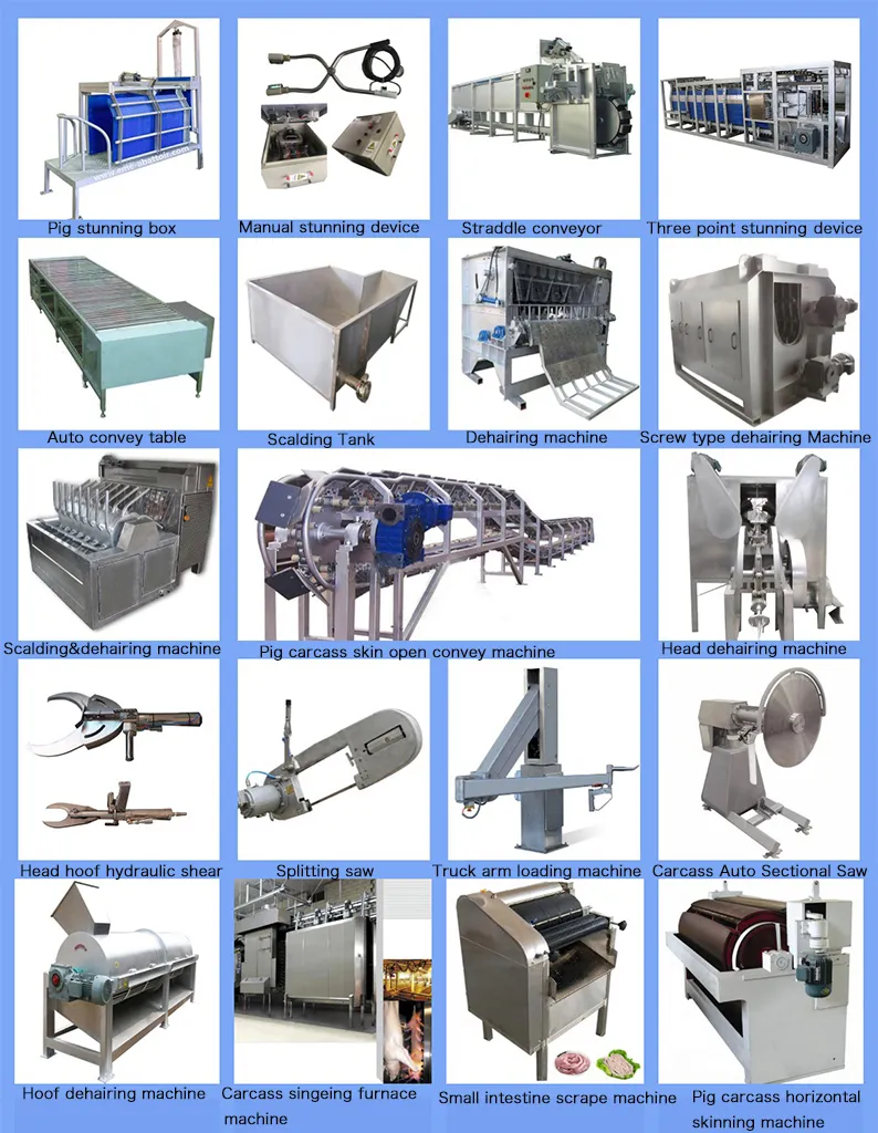 Slaughtering Line Equipment Map
