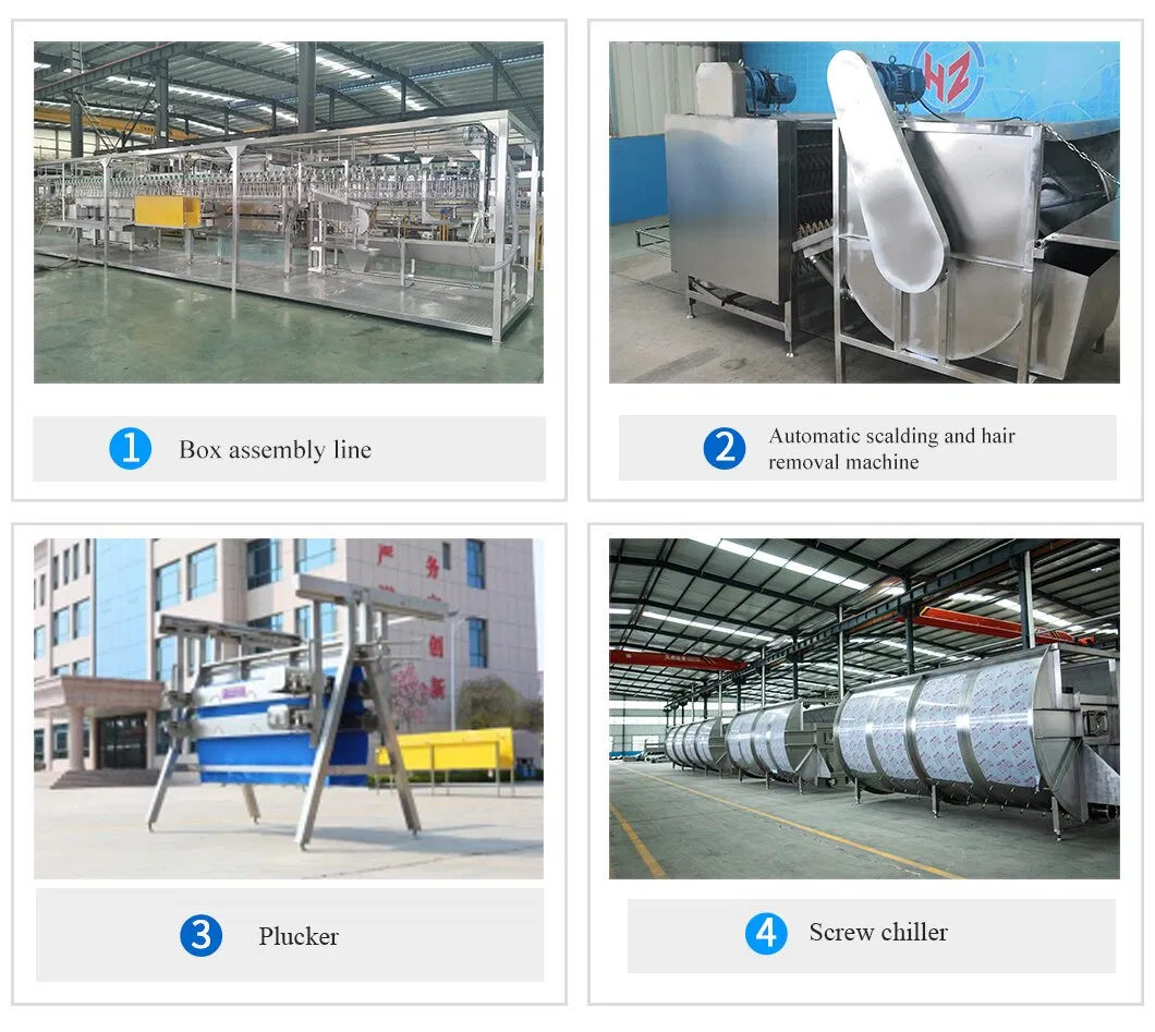 Equipment Specifications