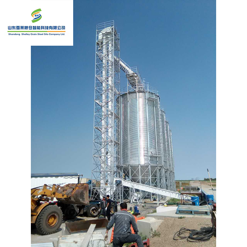 Huge Capacity Bulk Material Handling Grain Elevator Food Sorghum Paddy Rice Grain Bucket Elevator