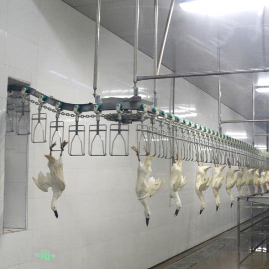 Premium Mingshun SUS304 Poultry Processing Tools for Efficient Chicken Slaughter