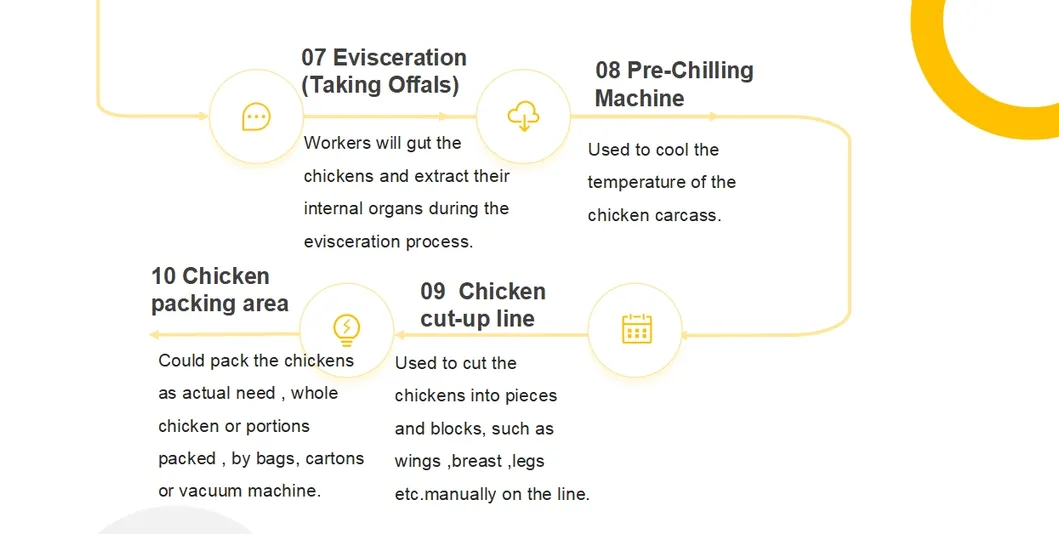 Poultry Processing Tools 6