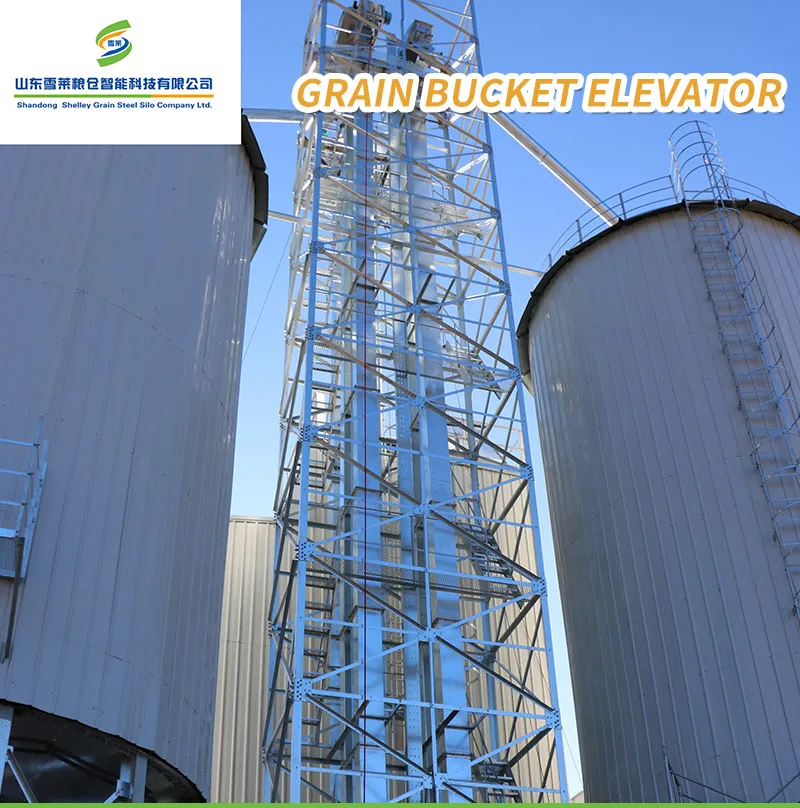 Grain Bucket Elevator