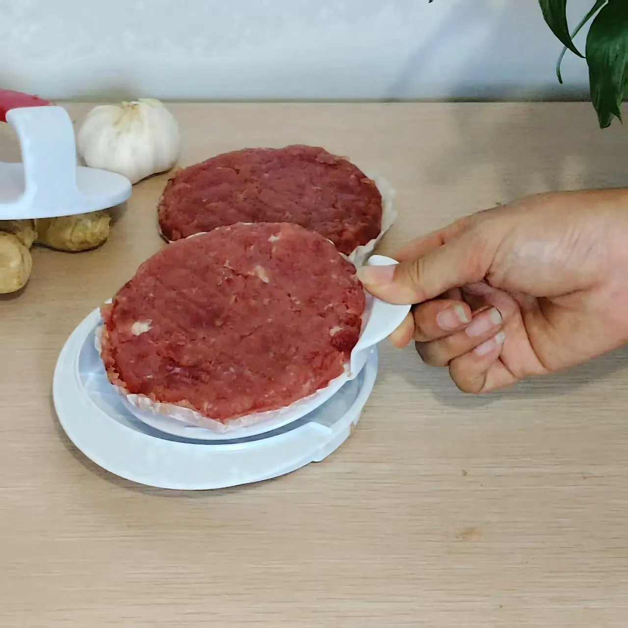 Tool Maker Meat Processing Plastic Kitchen Ware Products Burger Press (15173)