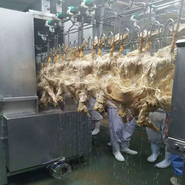 Poultry Processing Tools 3