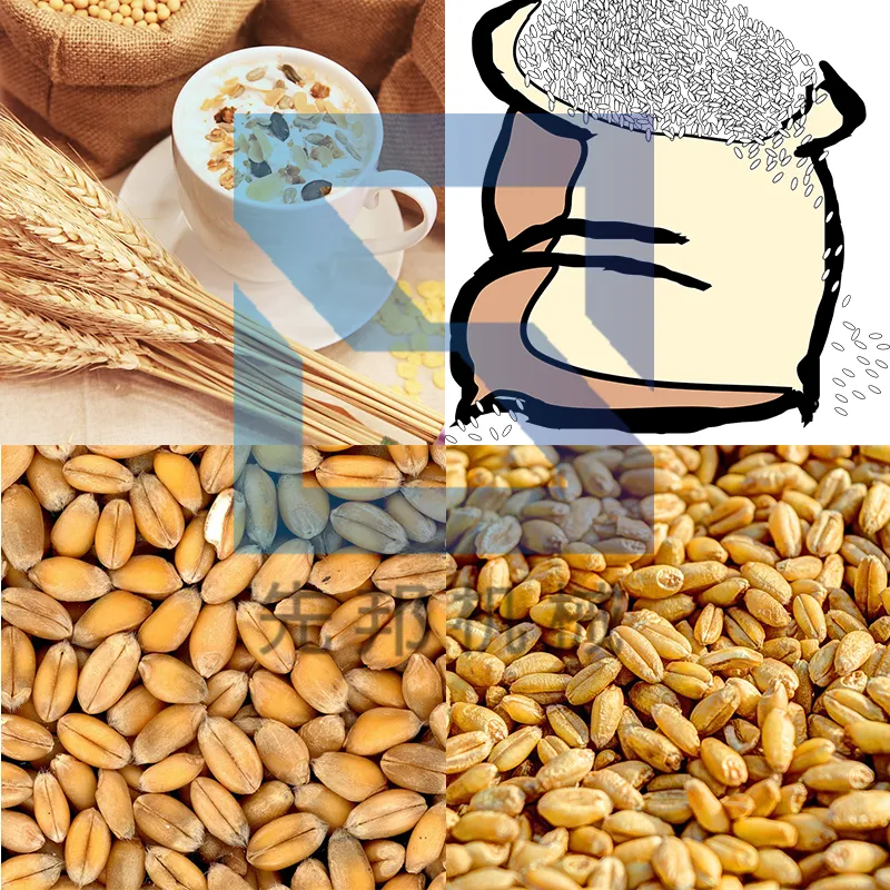 App 3