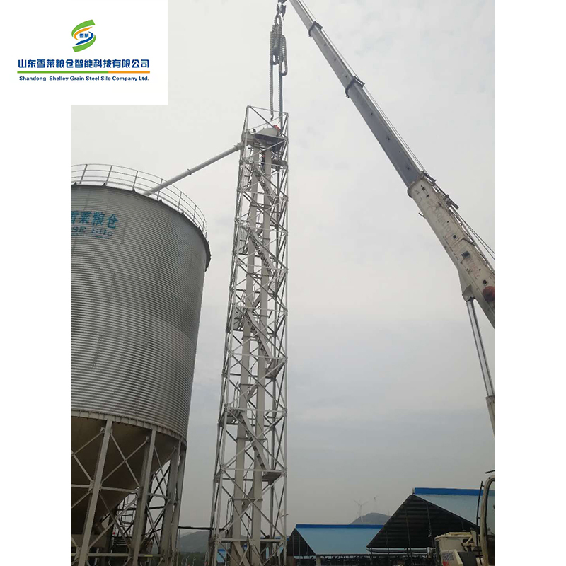 Huge Capacity Bulk Material Handling Grain Elevator Food Sorghum Paddy Rice Grain Bucket Elevator