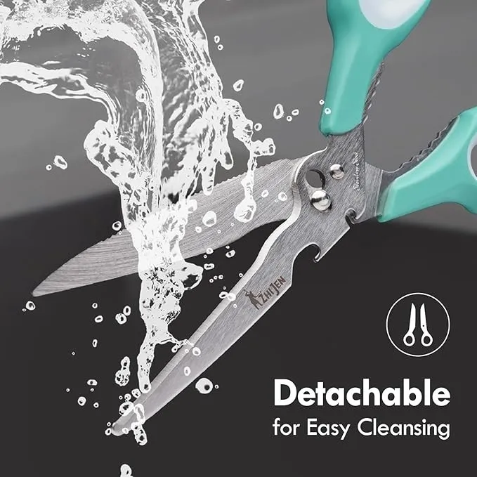 Stainless Steel Scissors