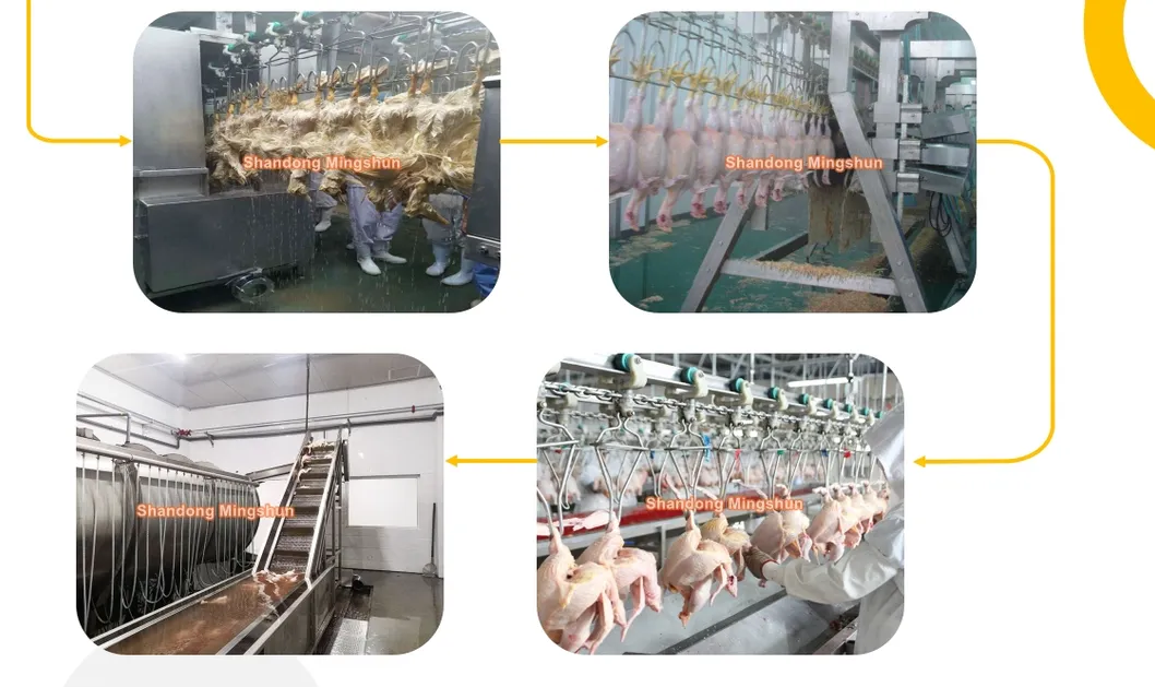 Poultry Processing Tools 8