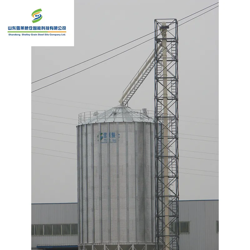 Grain Storage Silo