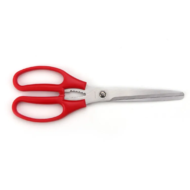 Kitchen Shear Detail 4