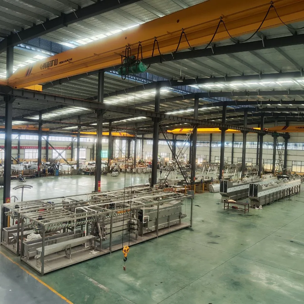 Advanced Processing Line