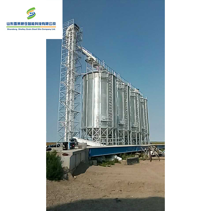 Huge Capacity Bulk Material Handling Grain Elevator Food Sorghum Paddy Rice Grain Bucket Elevator