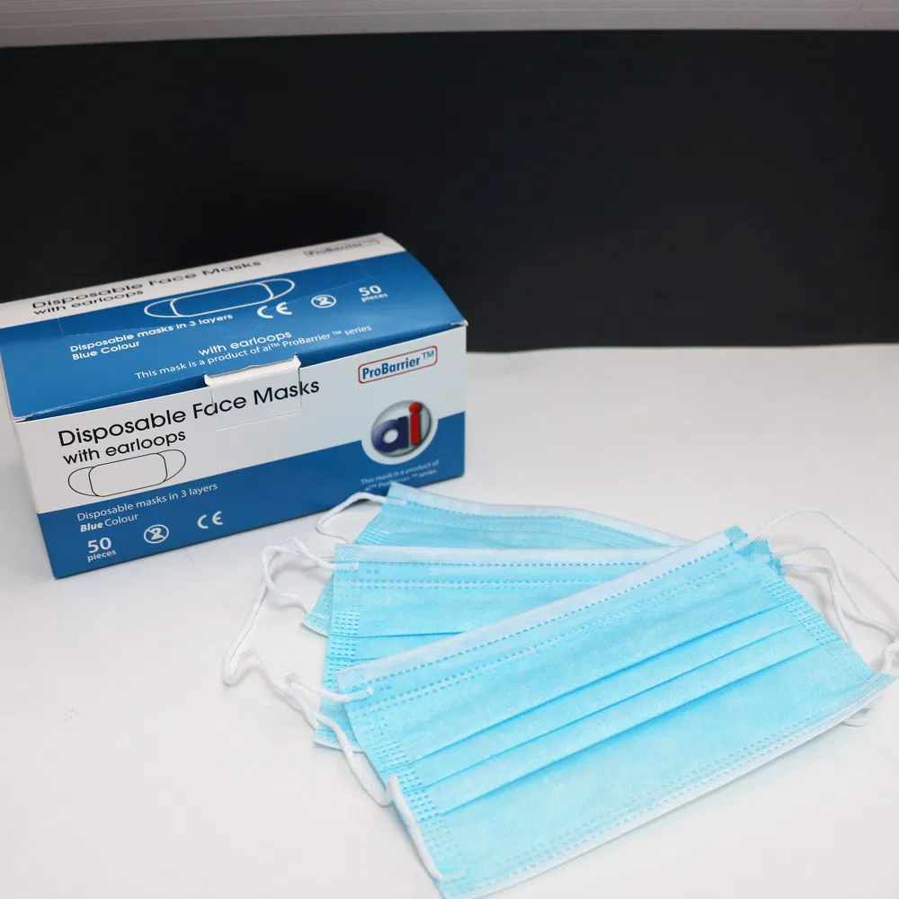 Wholesale Disposable Dust Face Mask Disposable Doctor Face Mask Face Mask Earloop Protection