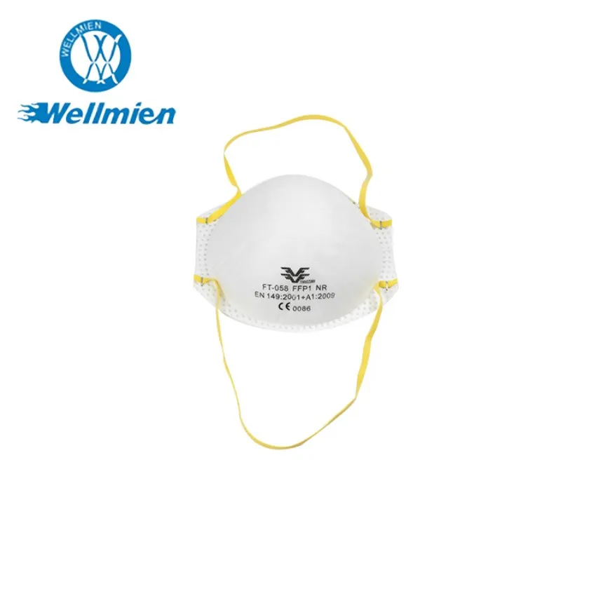 Disposable Nonwoven Dust Mask Product Detail 1
