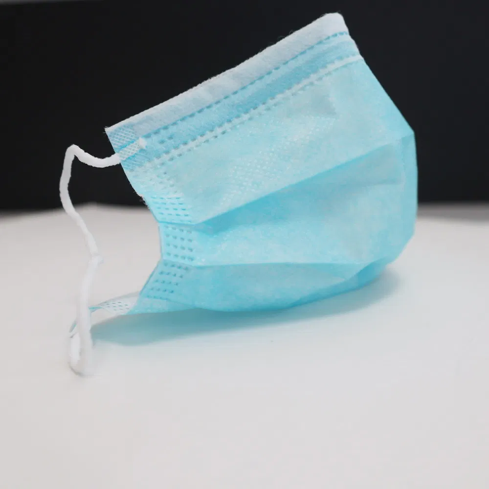 Wholesale Disposable Dust Face Mask Disposable Doctor Face Mask Face Mask Earloop Protection