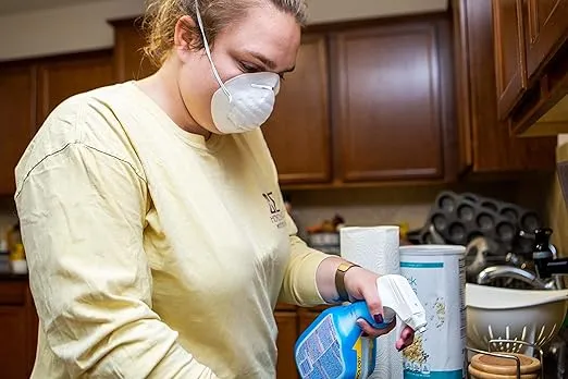 Disposable Dust & Particle Masks for Personal Protection