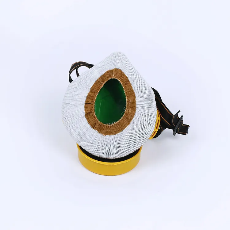 Anti-Pollution Full Face Gas Mask for Hazardous Airborne Particles