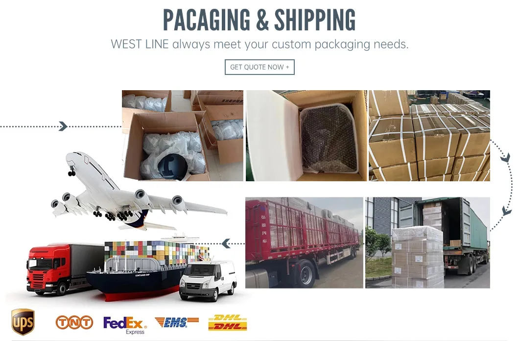 Packaging Process and Logistic Shipping