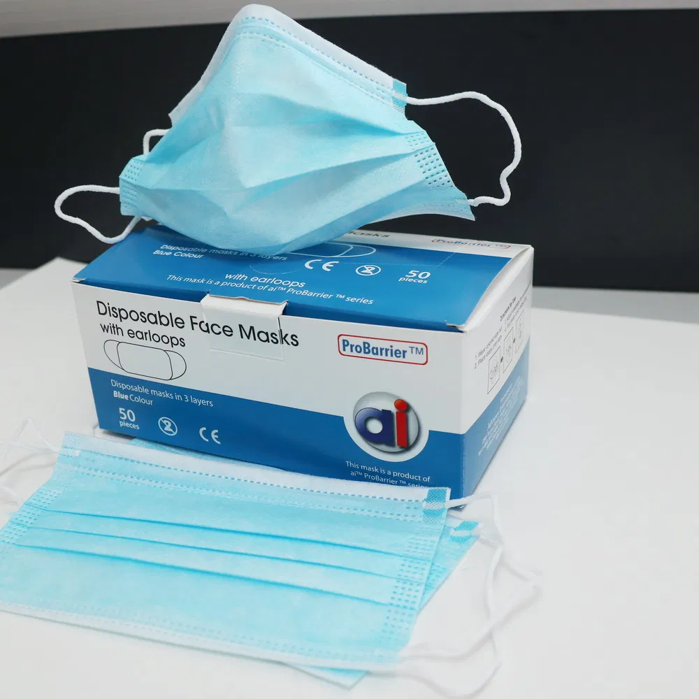 Wholesale Disposable Dust Face Mask Disposable Doctor Face Mask Face Mask Earloop Protection