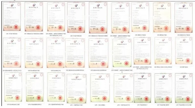 Double Conical Vacuum Dryer Details