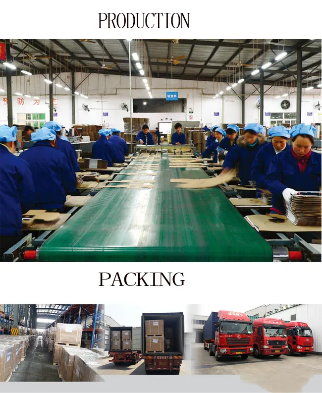 Cardboard Cases Trays Stand Floor Display Rack