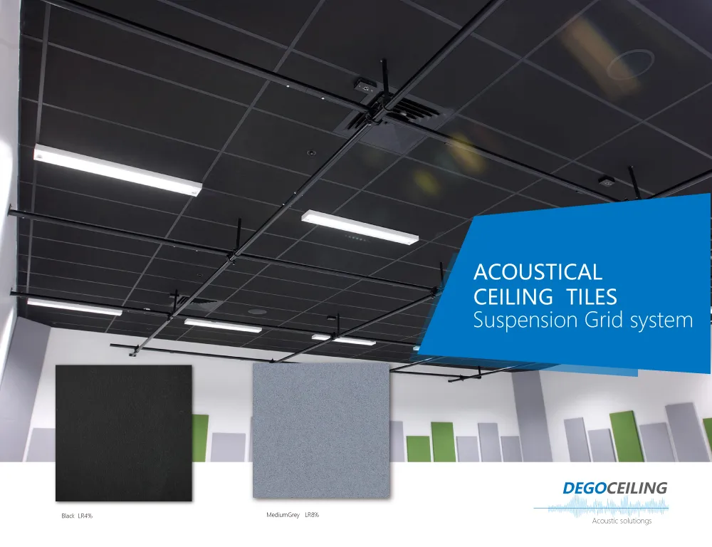 Black Acoustic Ceiling