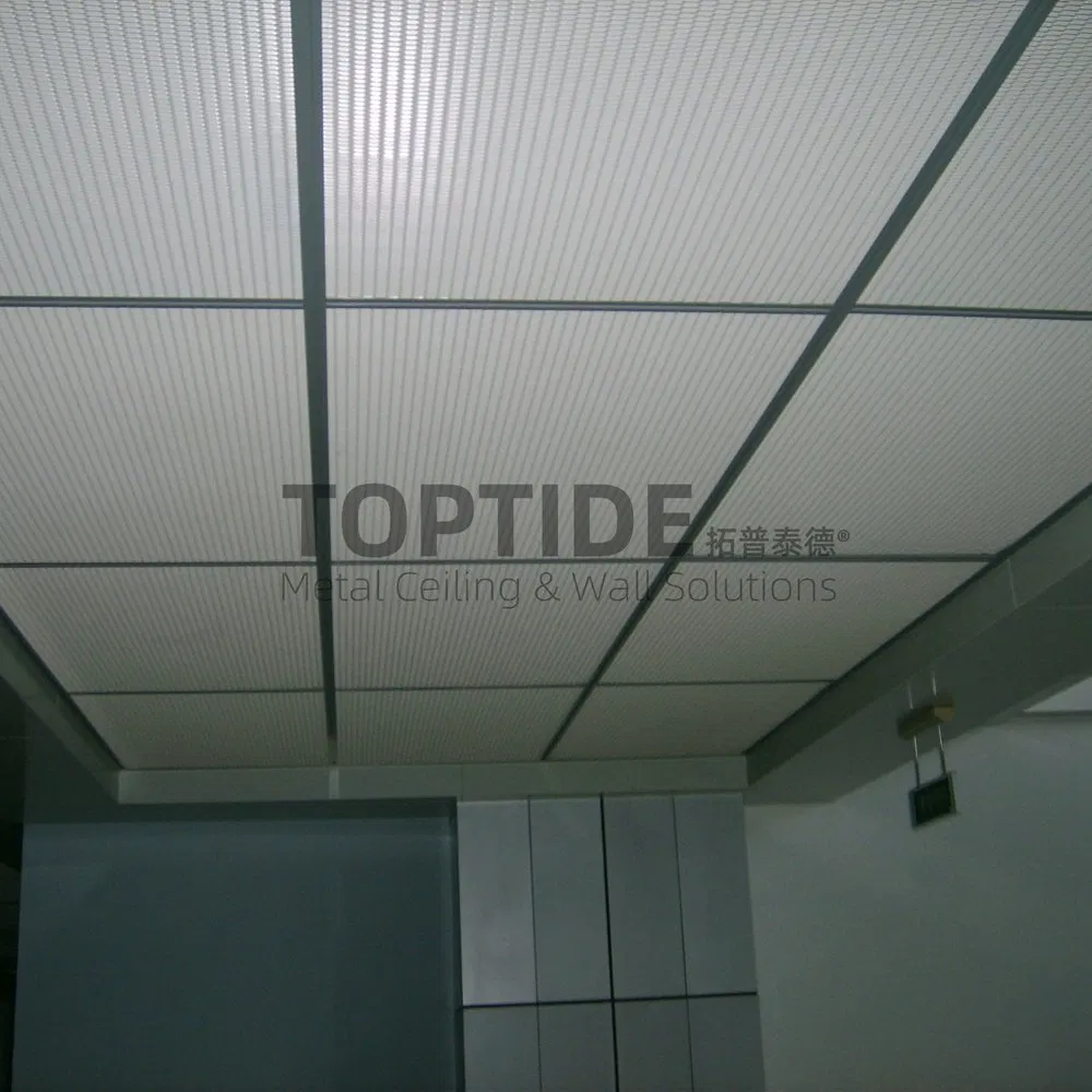 Decorative Building Wall Ceiling Aluminum Cladding Panel T Bar Ceiling System