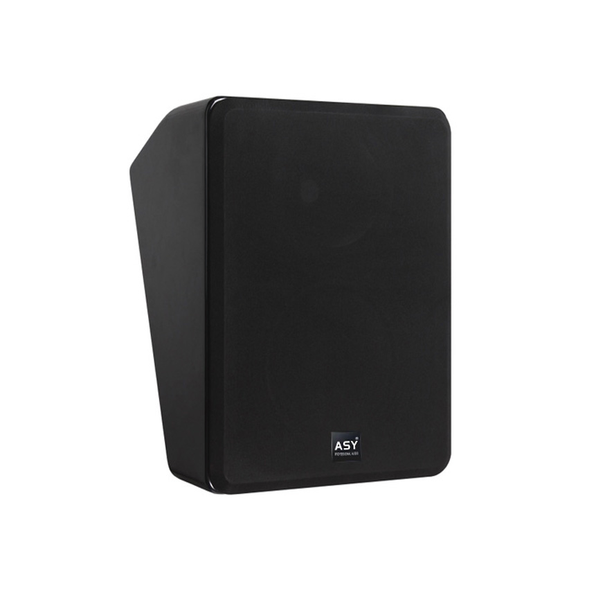 Professional Cinema 5.1.7.1 Audio System with HiFi Surround Sound