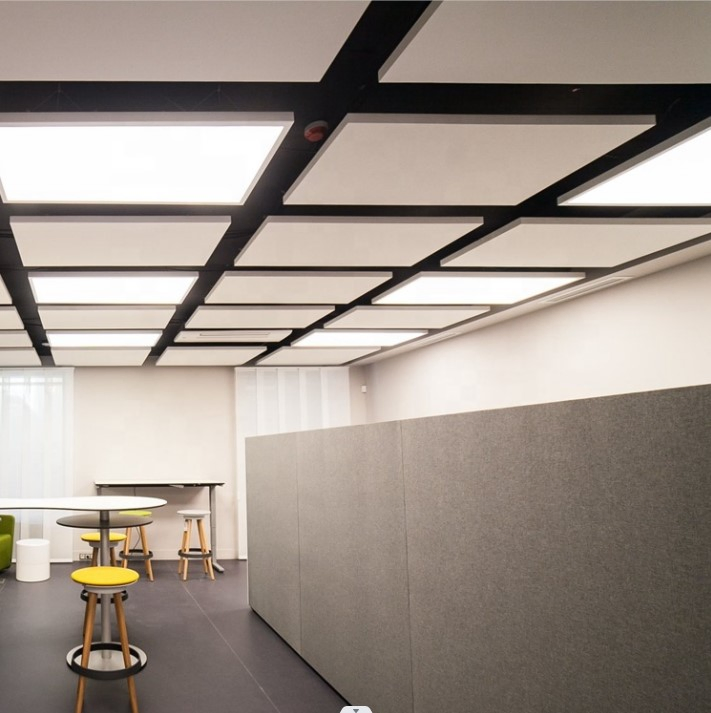 Acoustic Ceiling Clouds for Office Ceiling Decoration