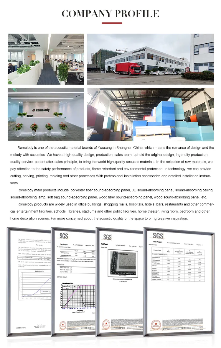 Acoustic Partition Details