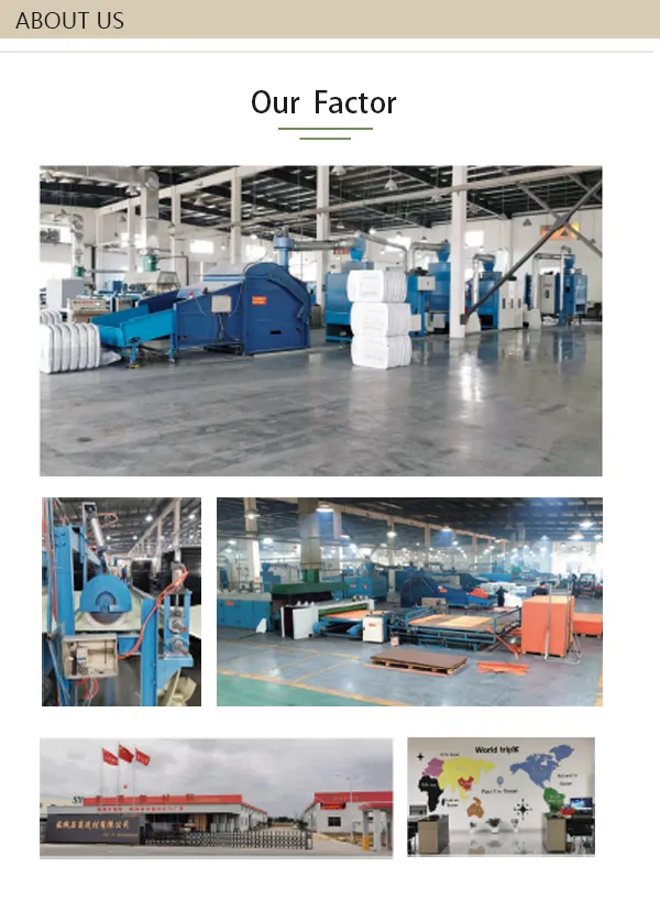 Safety Standard Certification