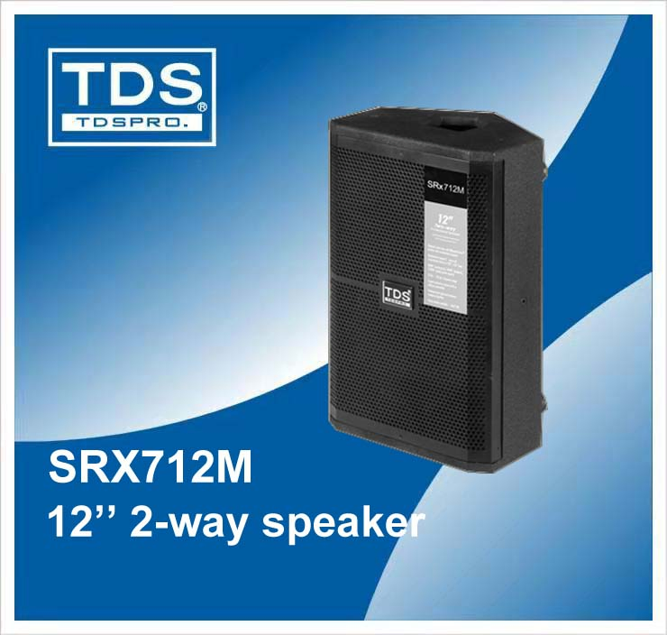 12inch Professional Stage Monitor PA Speaker System