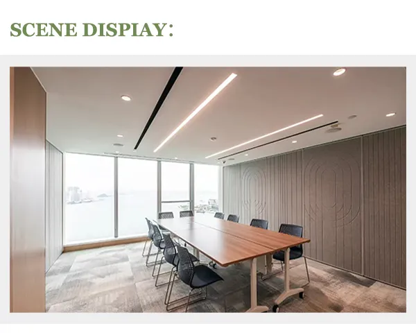 Application Detail 1