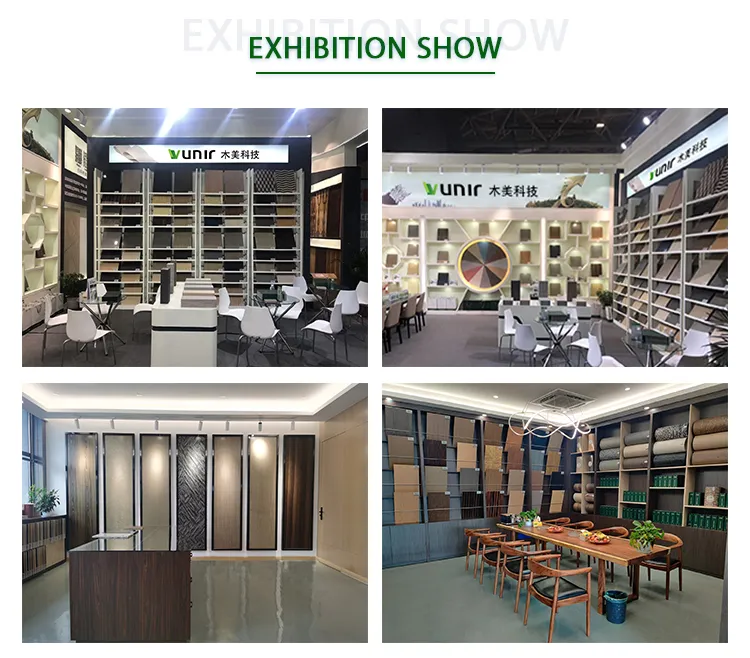 Exhibition Show