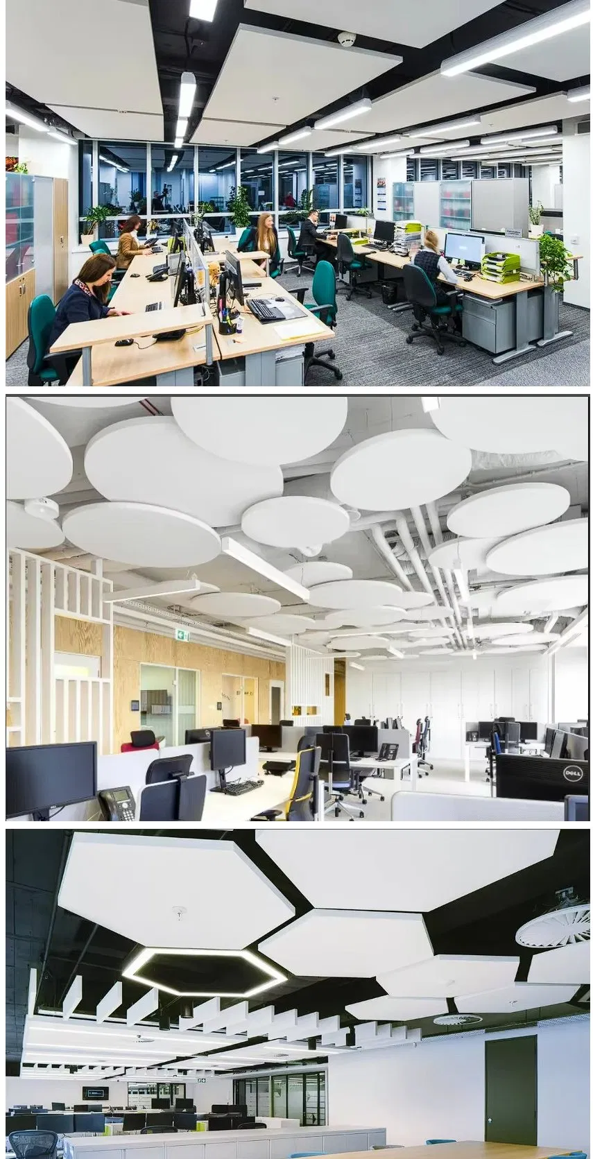 Acoustic Project Application