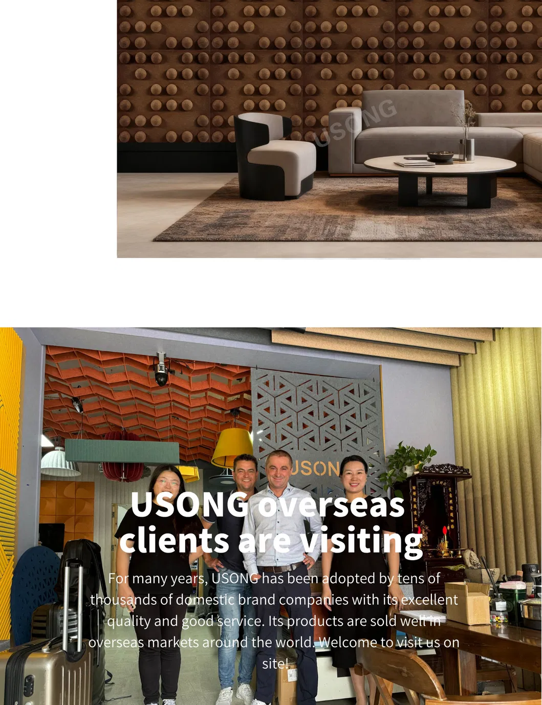 Acoustic Wall System 10