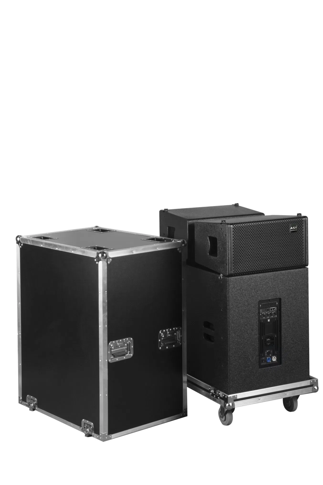 Active 10-Channel Single-Array Audio System with 10-Inch Speaker