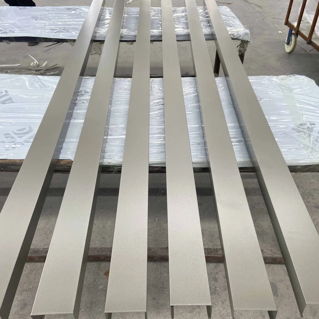 Aluminum Baffle Ceiling Photo 3