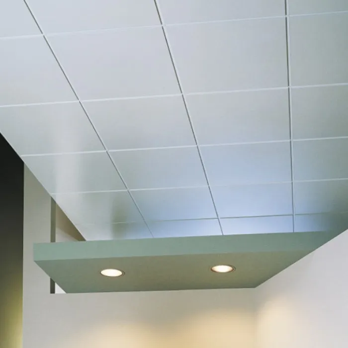 Acoustic Metal Ceiling Panels