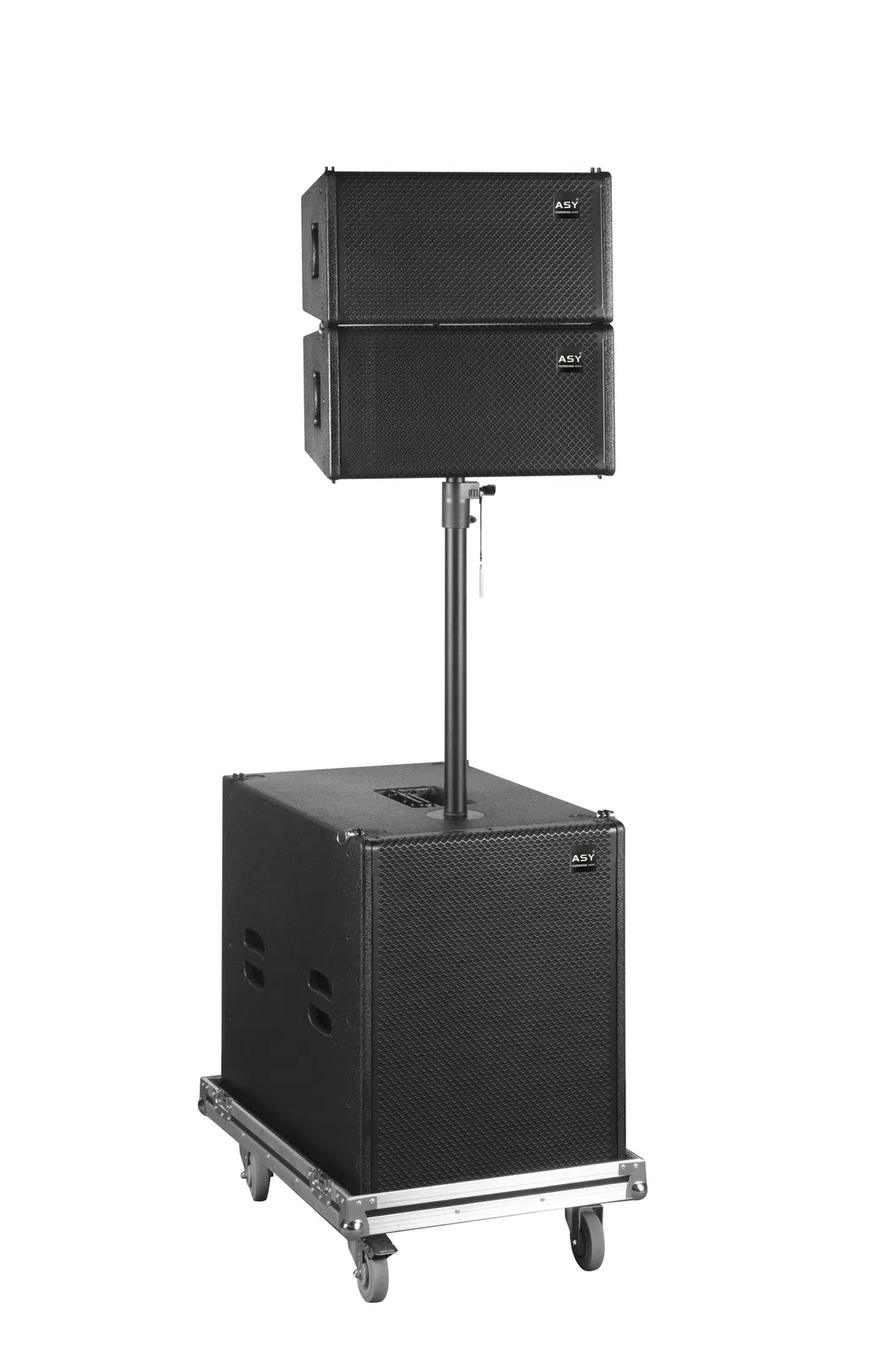 Professional Audio Performance