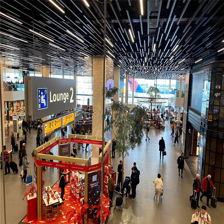 Fashione Baffle Ceiling Design Aluminum Combi-Line Architectural Ceiling System