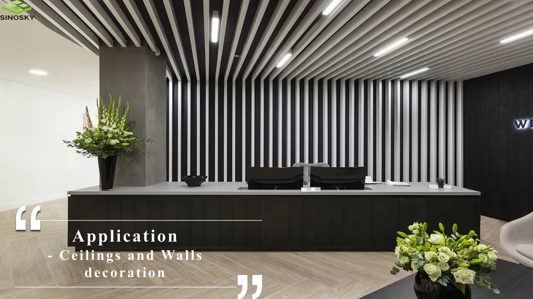 Metal Decorative Ceiling