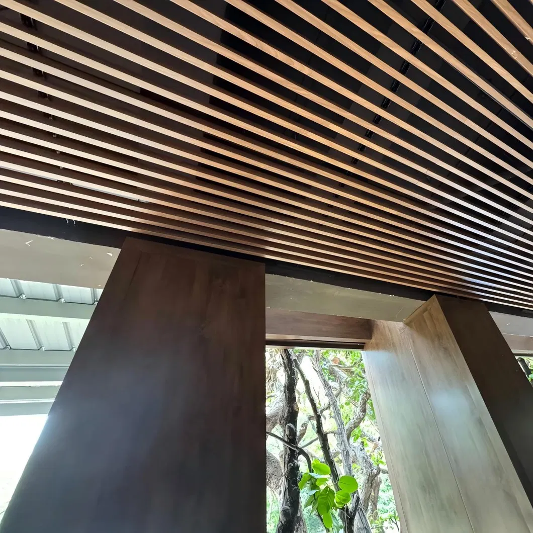 Aluminum Baffle Ceiling Photo 2